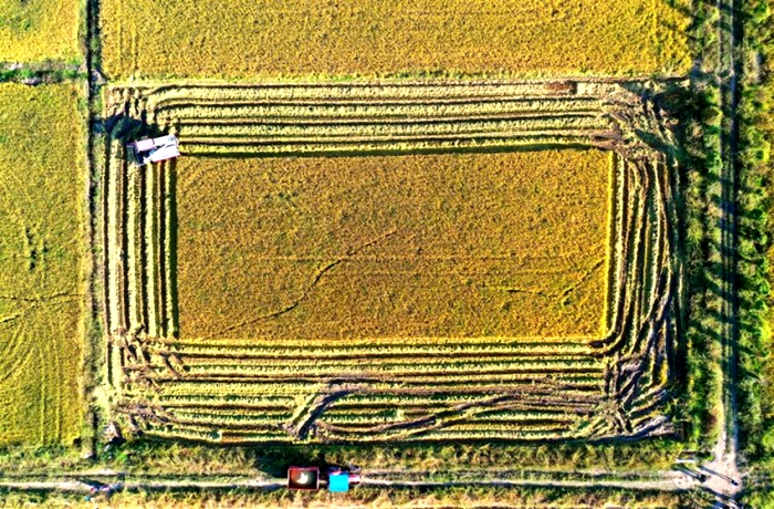 carbon1.jpg