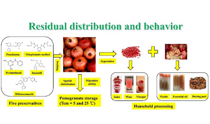 Residual distribution and behavior.jpg