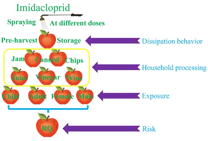 Scheme for the apple products processing.jpg