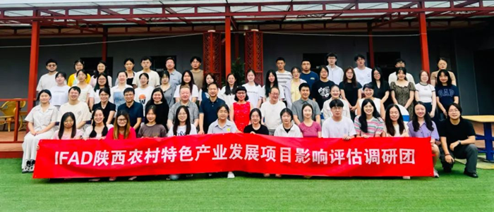 图片7.png